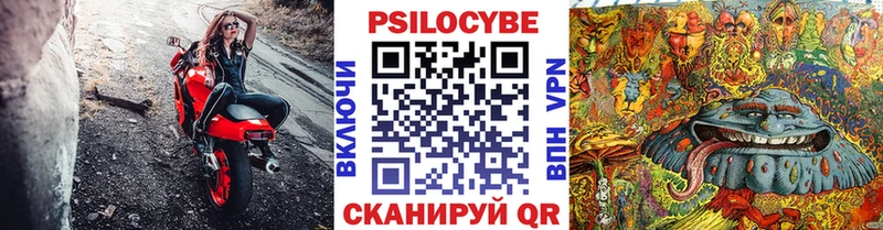 Галлюциногенные грибы GOLDEN TEACHER  где можно купить   Новохопёрск 
